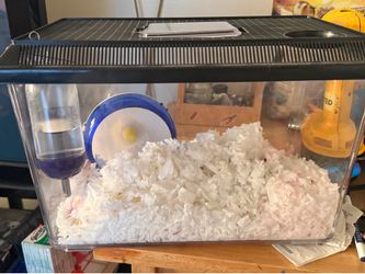 mouse (cage included)
