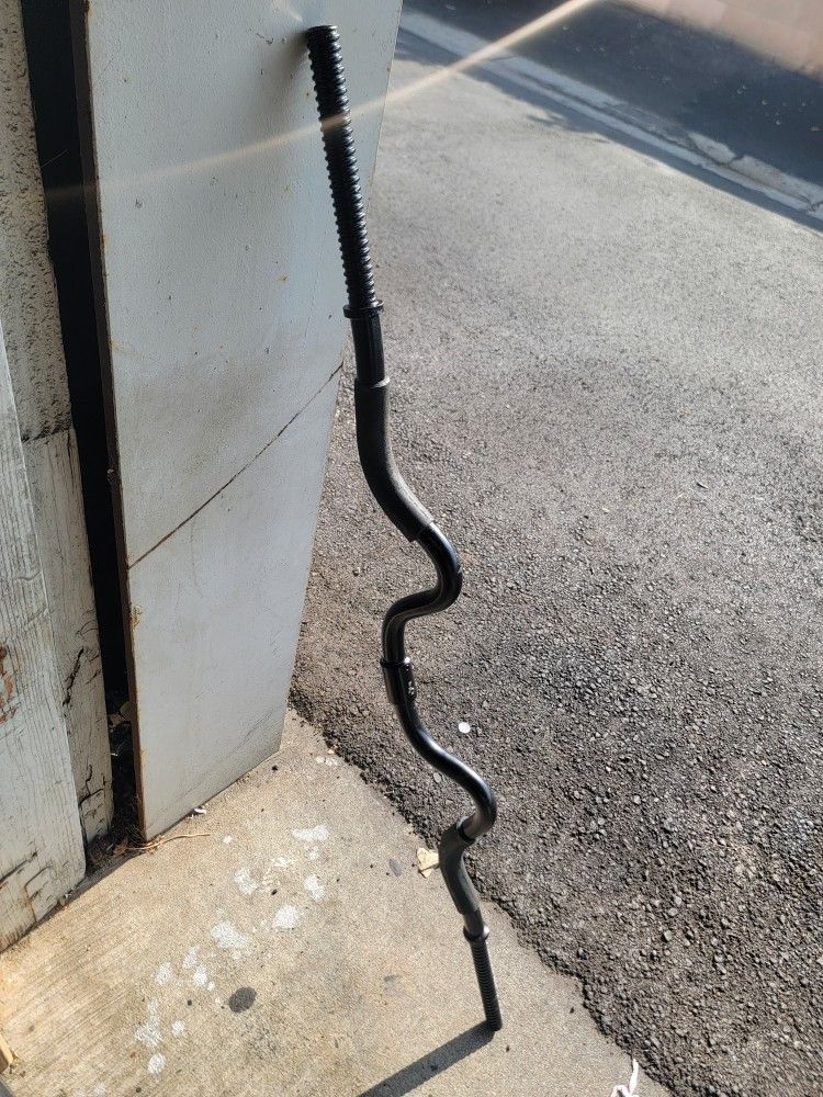 Curl Bar Standard Sizes