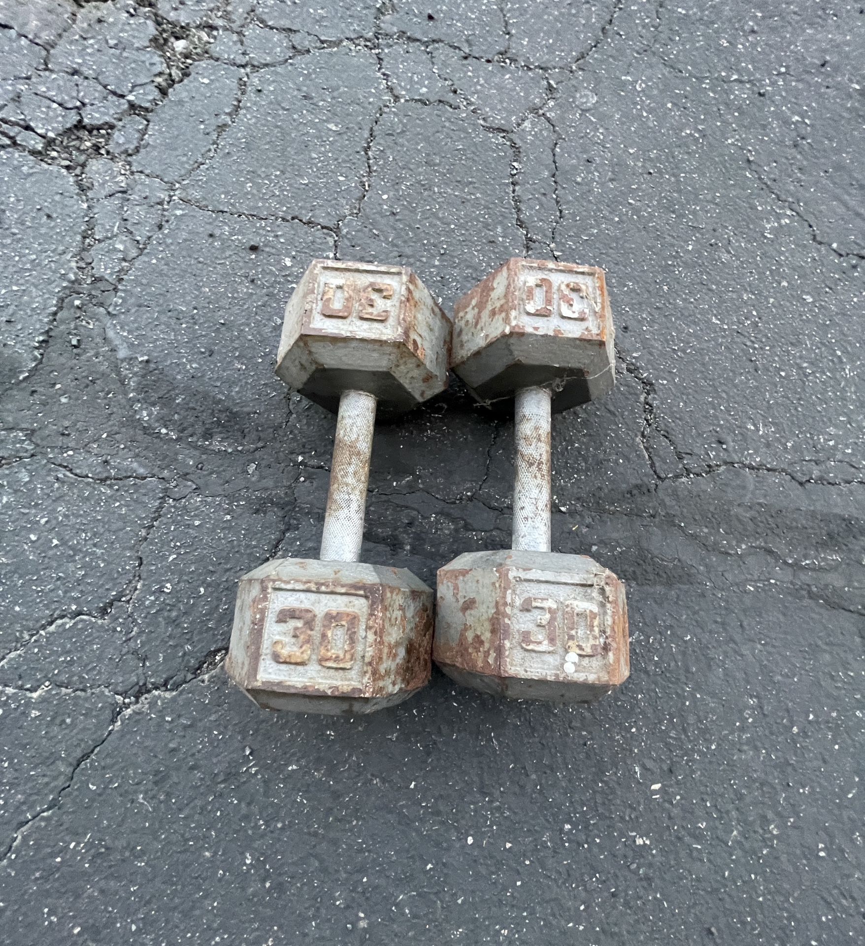 Mental Dumbbell 30lb