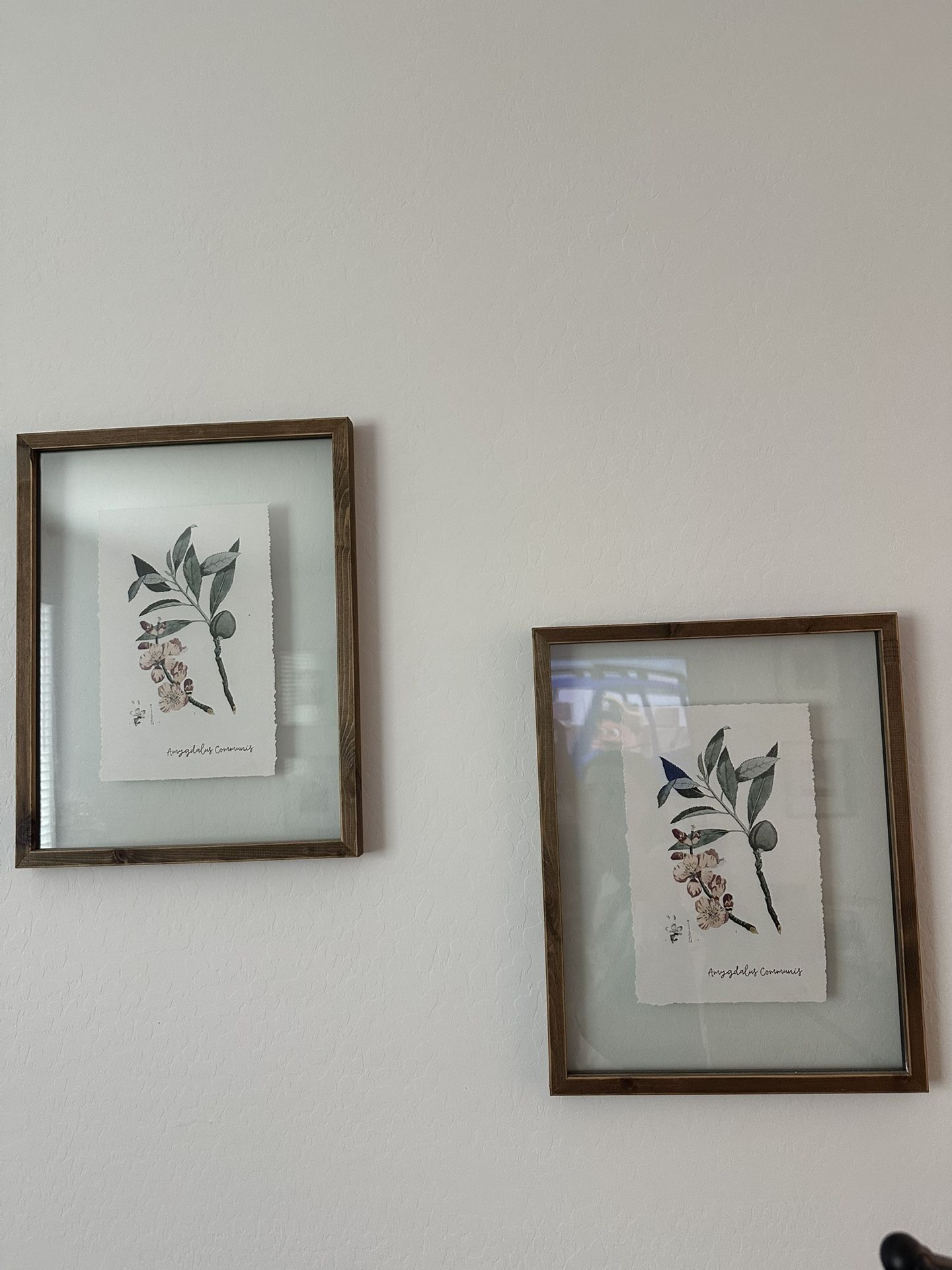 Two Floral Framed Artwork