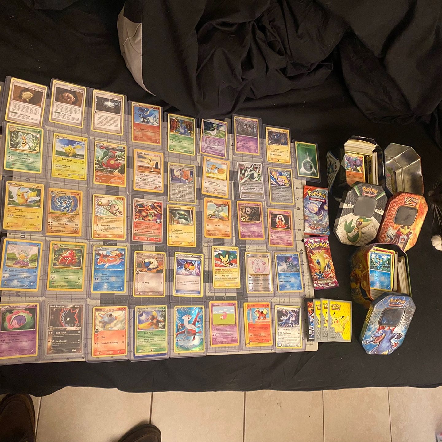 largest-pokemon-card-collection