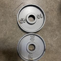 2- 10 Lb Weider weight plates
