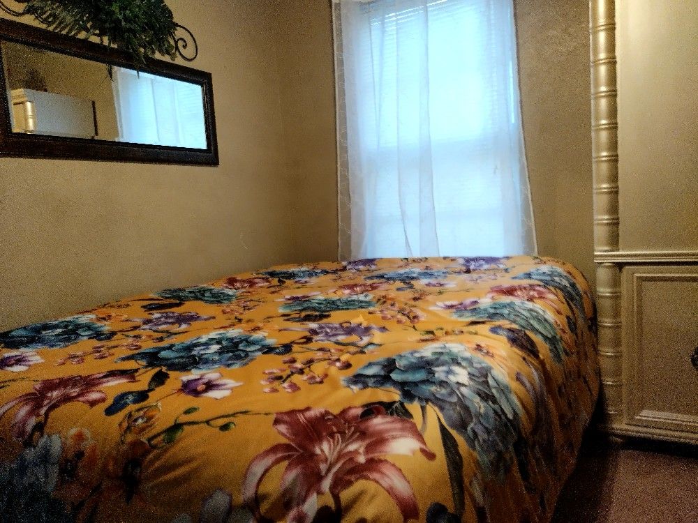 LLEVESELO TODO POR $50.00/TAKE IT ALL FOR 50.00