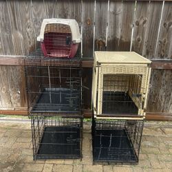 Dog Kennels 