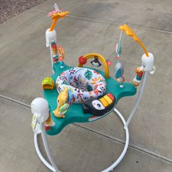 Fisher-Price Jumperoo Baby Bouncer