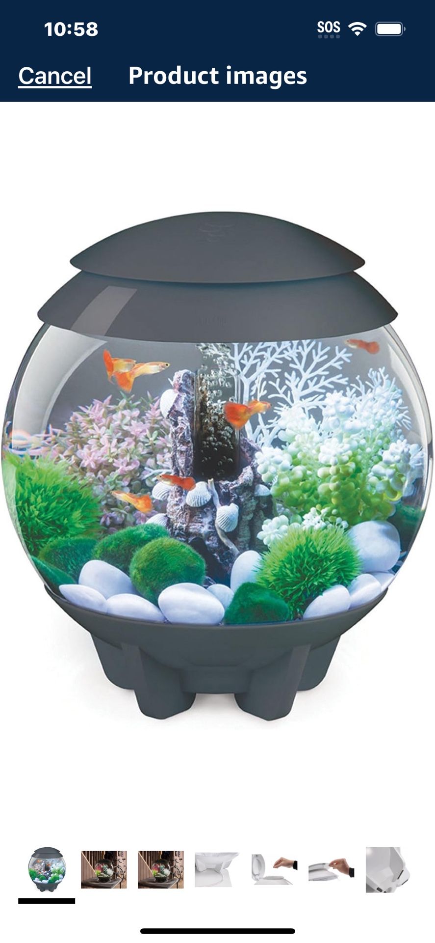 4 Gallon LED Fish Tank W/ Remote