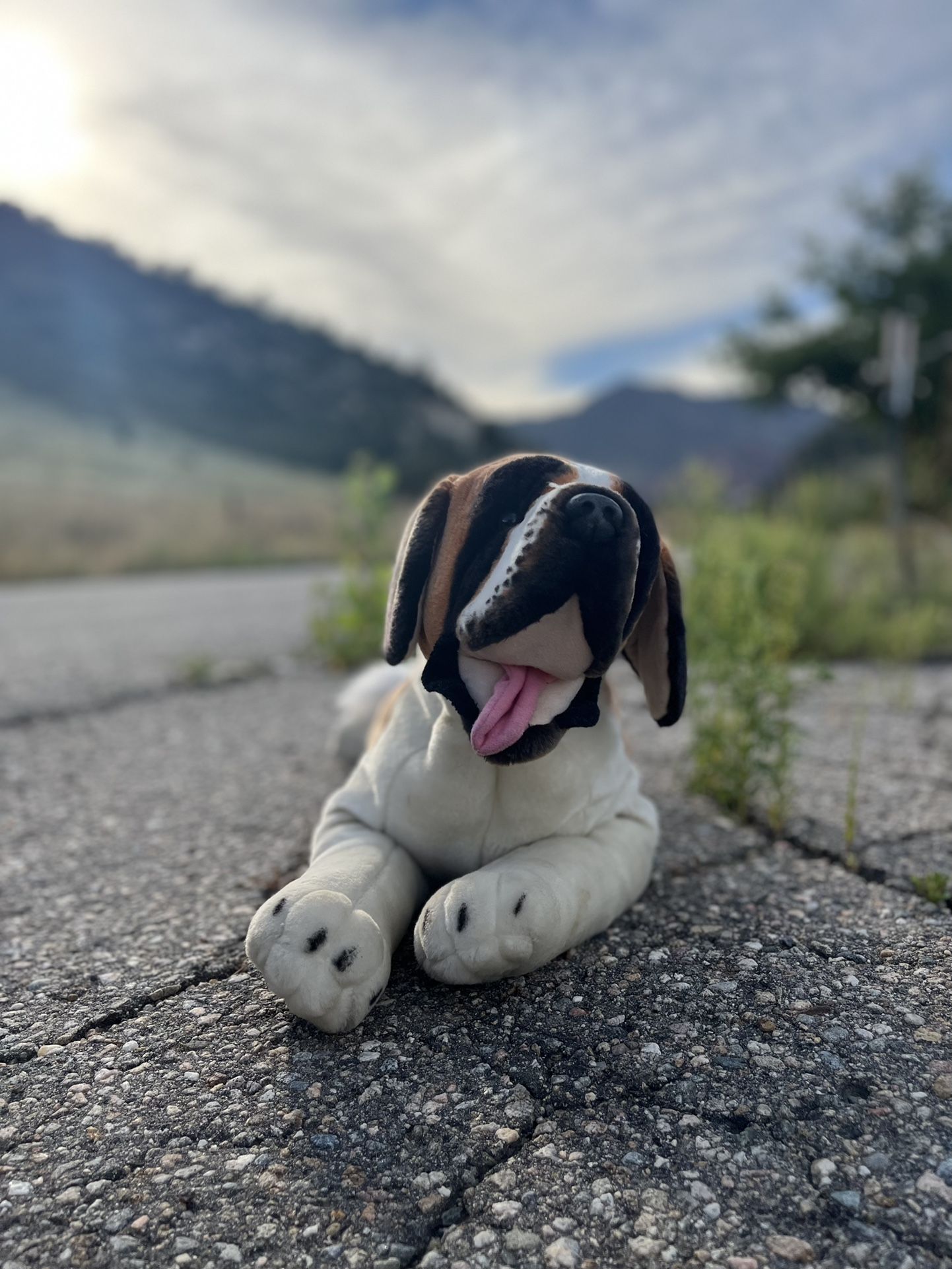Rare Large Saint Bernard Plush - Toys & Collectibles | Color: Brown | Size: l