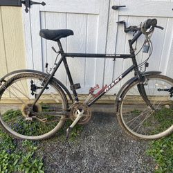 Giant Iguana (Project Bike)