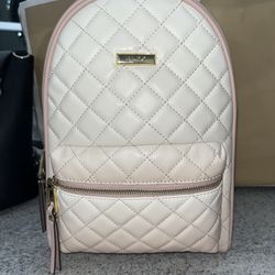 ALDO BACKPACK  NEW 