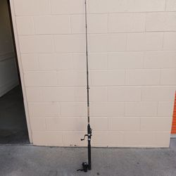 Fishing Pole 
