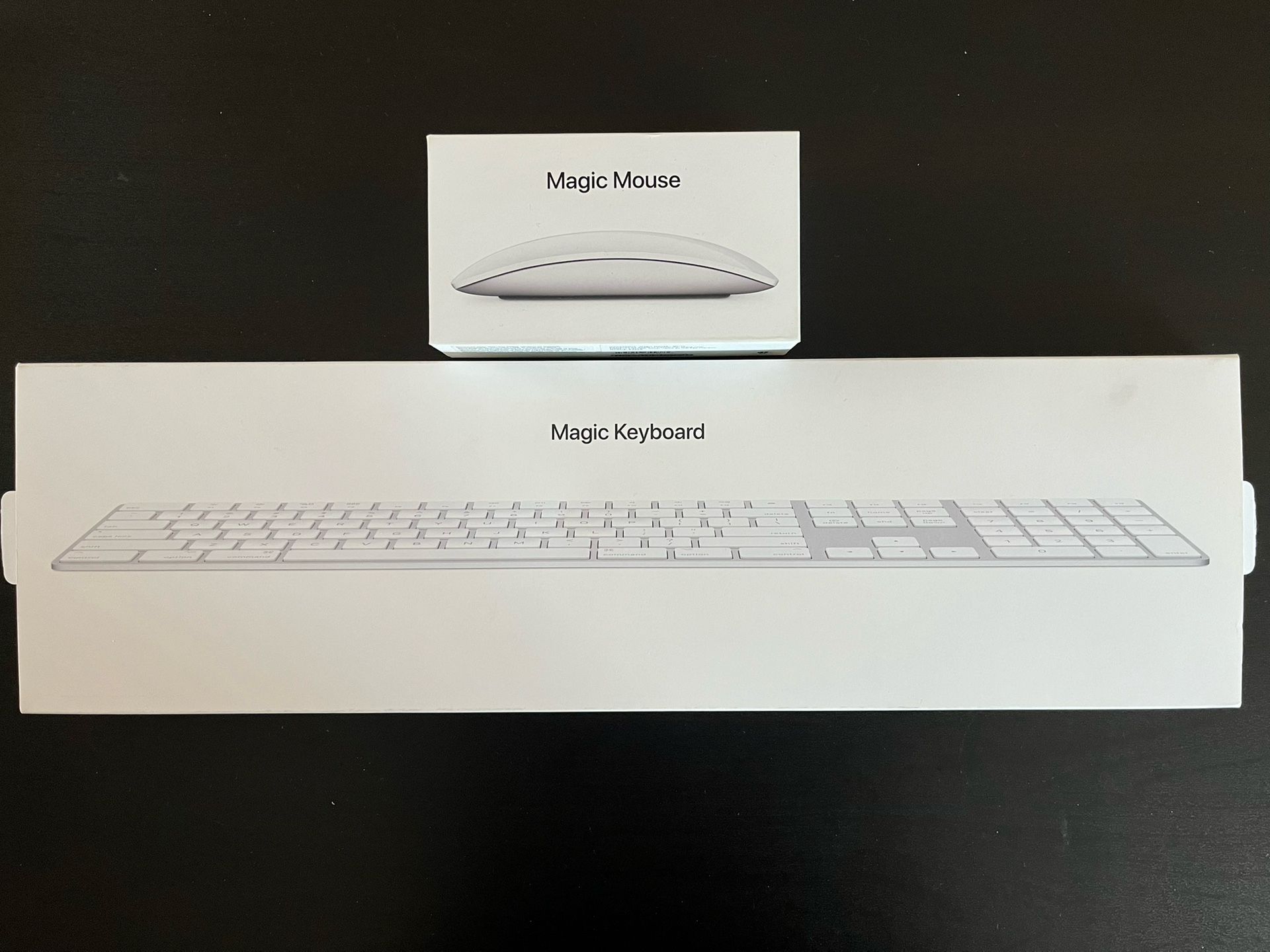 Apple Magic Keyboard and Mouse