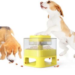 Fun pet food catapult -square