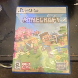 Ps5 Minecraft
