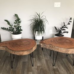 Coffee Tables 