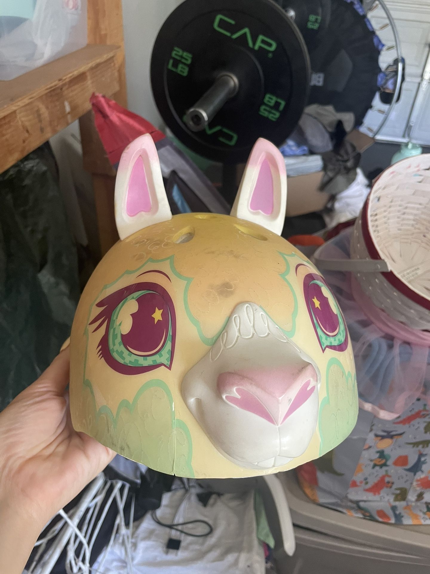 Colorful Animal Helmet Kids