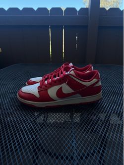 Nike Dunk Low Size 13