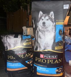Dog food