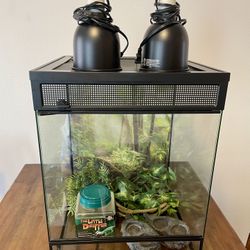 Thrive Tropical Terrarium 30 Gallon Tank 18” L x 18” W X 24” H