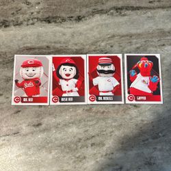 Reds Mascot Cards