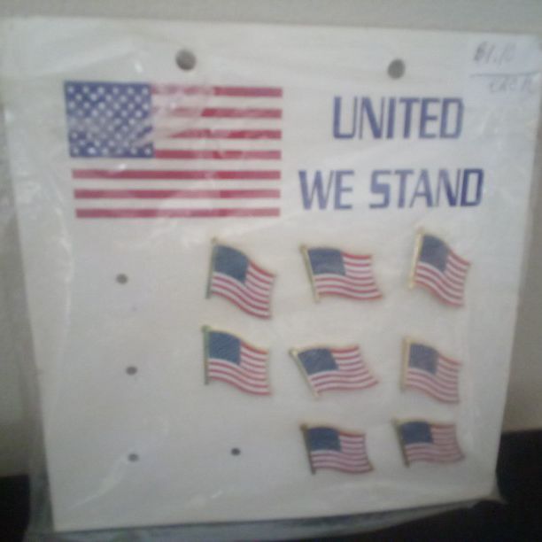 2 - Lapel Pin - United We Stand 
