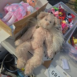 PRECIOUS Annette Funicello "Faith" MOHAIR ANGEL BEAR Locket w Annette Inside!! 