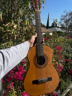 Guitar