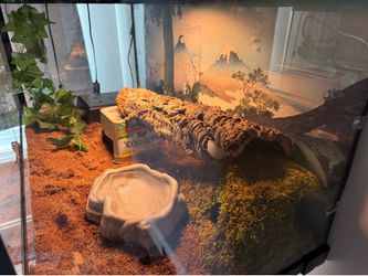 Python enclosure