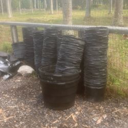 Gallons For Sales  $1 Each 