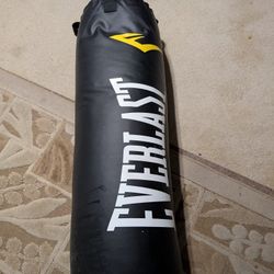 Everlast Punching Bag