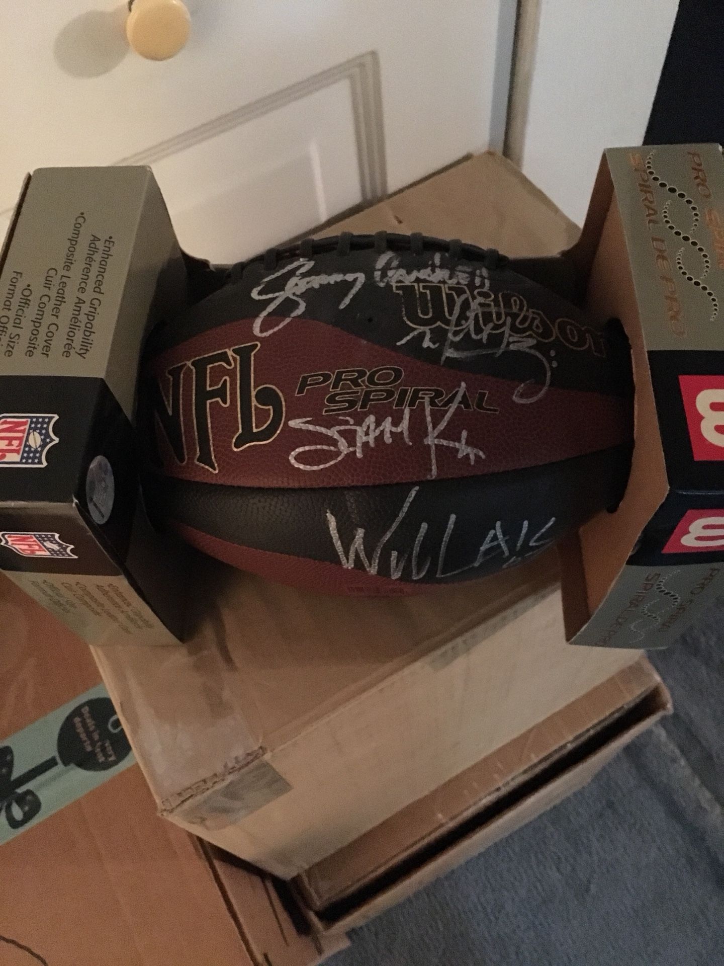 Alice In Chains autograph football