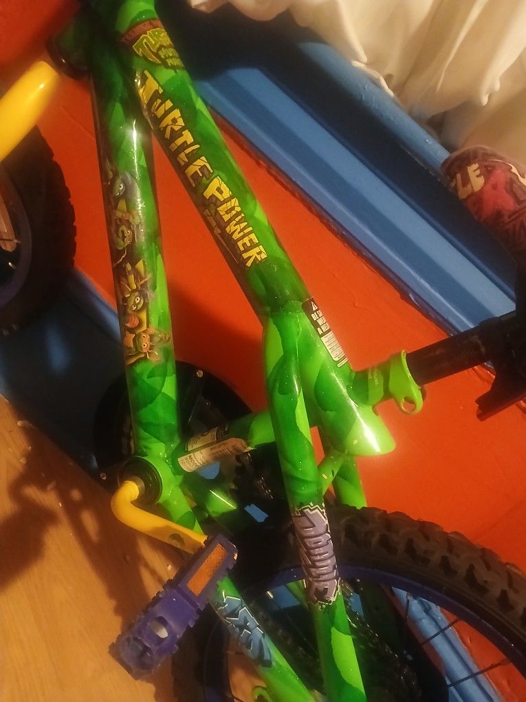 Ninja Turtle Bike