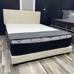 🔥 Special Queen Mattress With Free Box Spring Only - Free Delivery 🚚 Today 