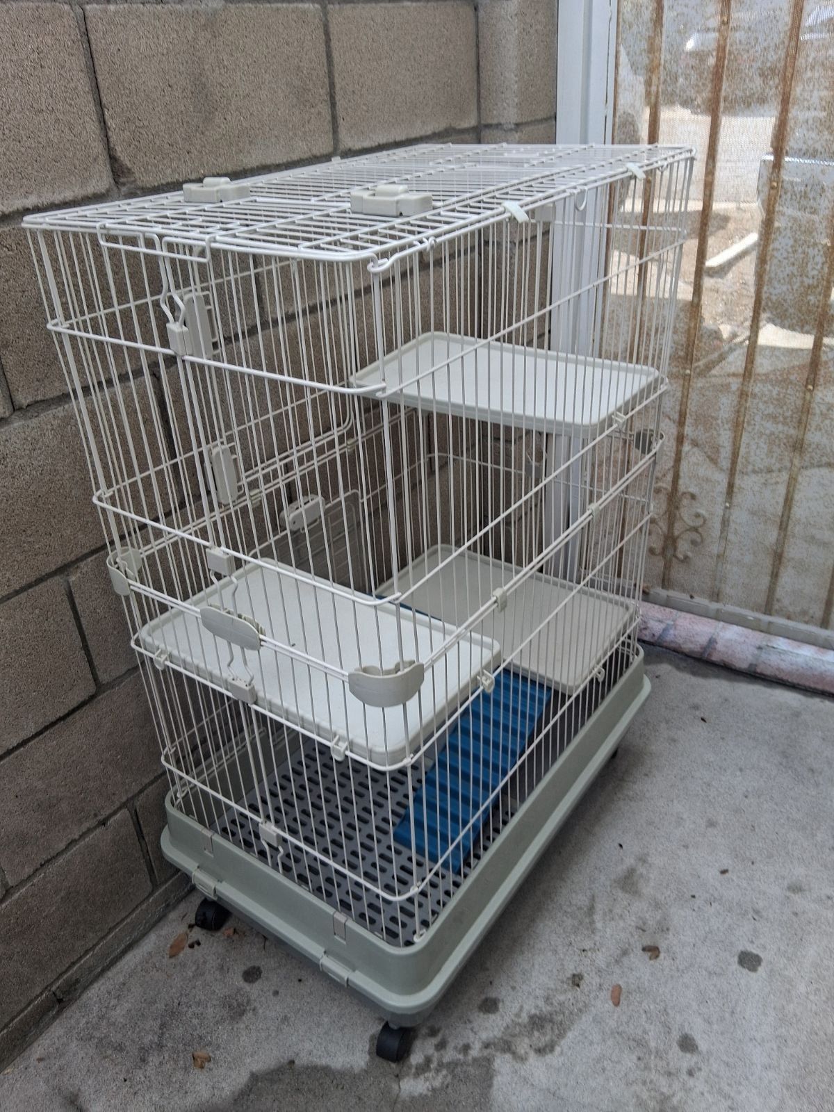 Bird Cage