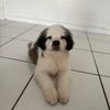 khloe