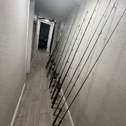 Fishing Poles Some Combos