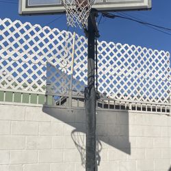 LIFETIME 54” Portable Basketball Hoop