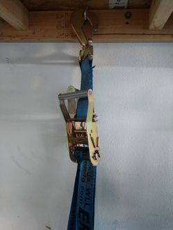 Erickson car straps