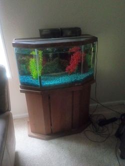 Fish tank
