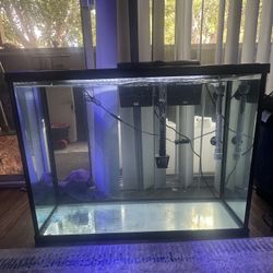 35 Gallon Tank 