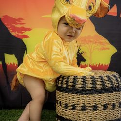 Disfraz De Dumbo 