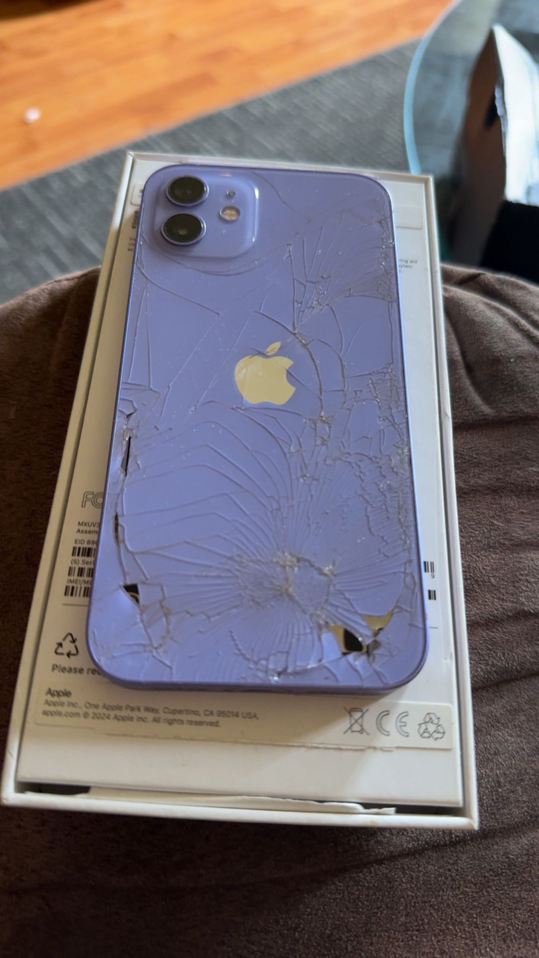 iPhone 12