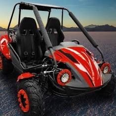 200cc Full Size GOKART Automatic With Reverse 