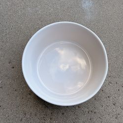 Dog Bowl