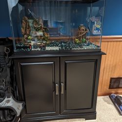 30 Gallon Fish Tank, Stand, And More!