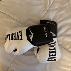 12 Oz Boxing Gloves 