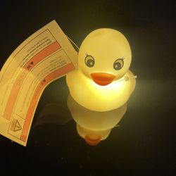 NEW - Light Up Duck For Jeep , Work, Office 