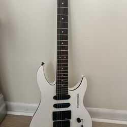 Steinberger Guitar 