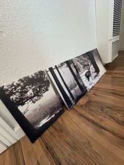 Wall Decor