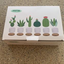 Succulent Pots