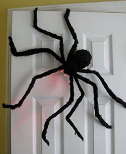 Halloween Spider